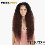 Long Ombre Lace Front Wig